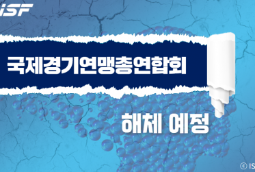 기사 사진 템플릿_송다 (17)